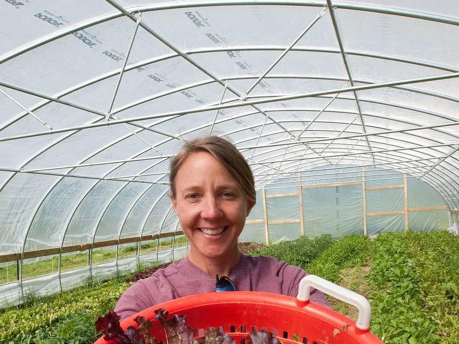 A grower carries a basket of just-cut leaf lettuce through a greenhouse row.
