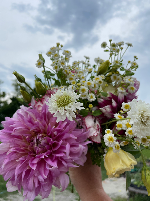 Stone Ridge Floral and Feathers logo