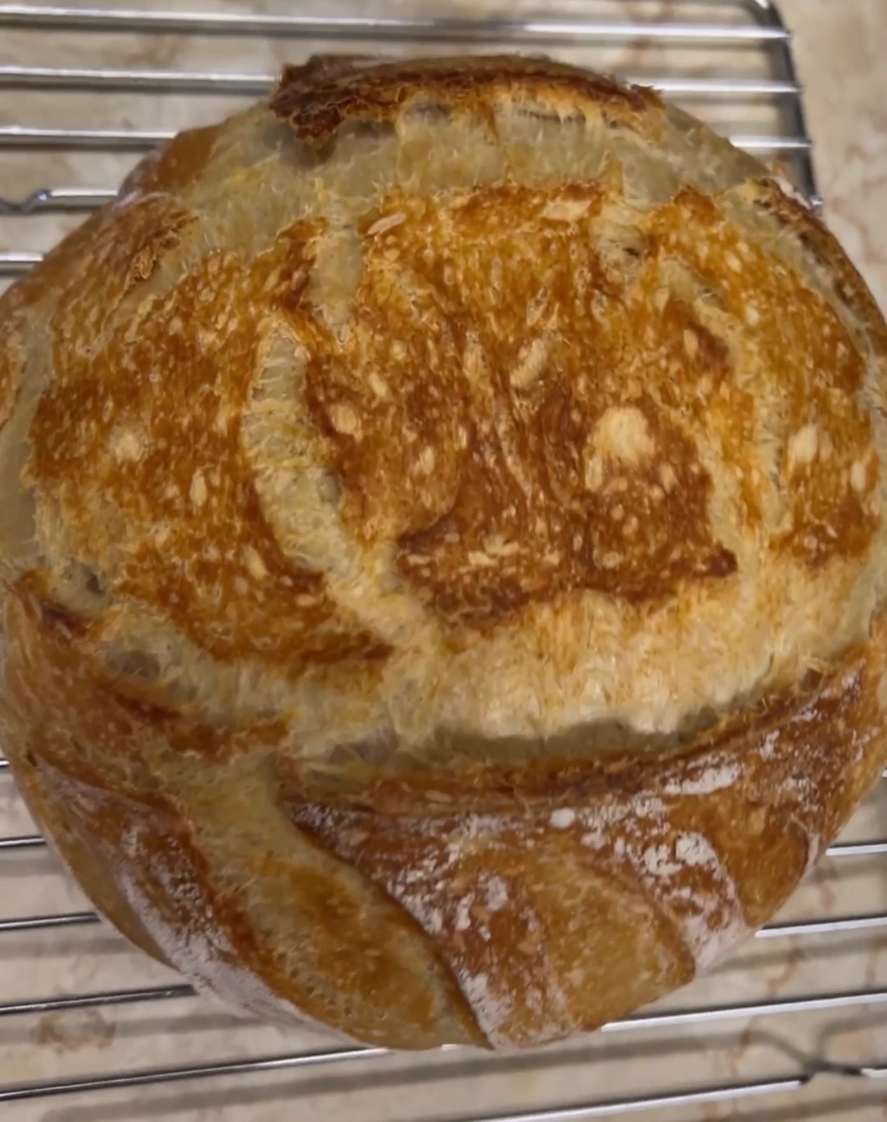 Artisan Sourdough bread close up